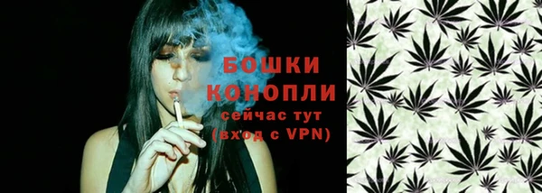 амф Кукмор