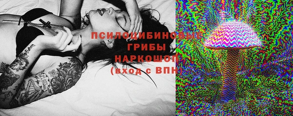 амф Кукмор