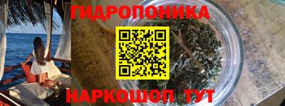 гашик Тверь