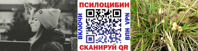 ОМГ ОМГ онион Саянск Галлюциногенные грибы Psilocybe