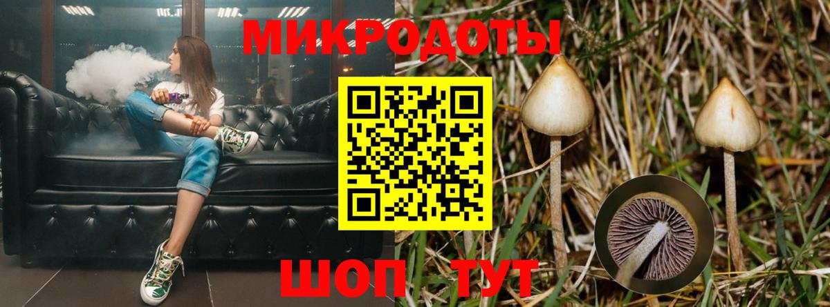 Псилоцибиновые грибы Magic Shrooms Саянск