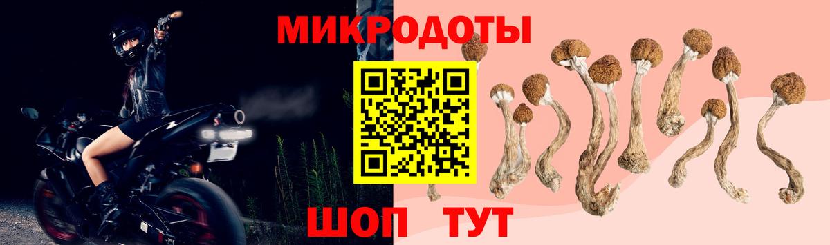 Саянск  Галлюциногенные грибы Cubensis  Вход с VPN 